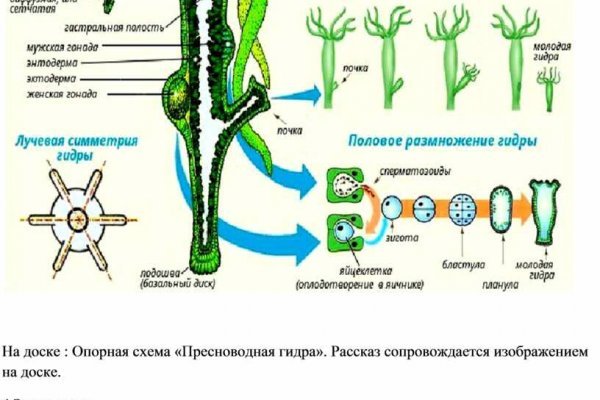 Кракен сайт даркнет